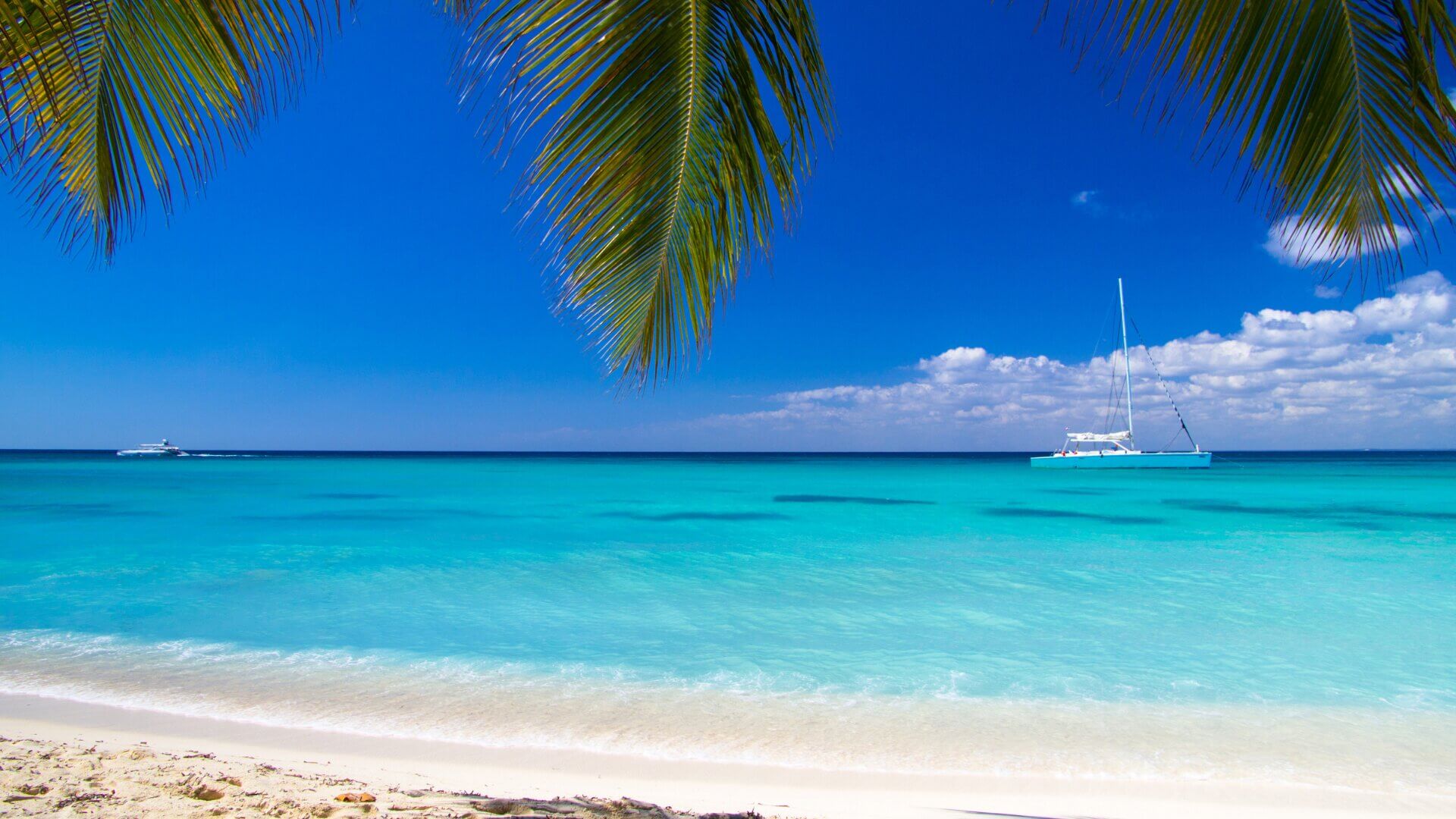 Caribbean