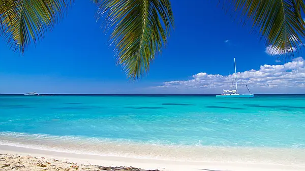Caribbean